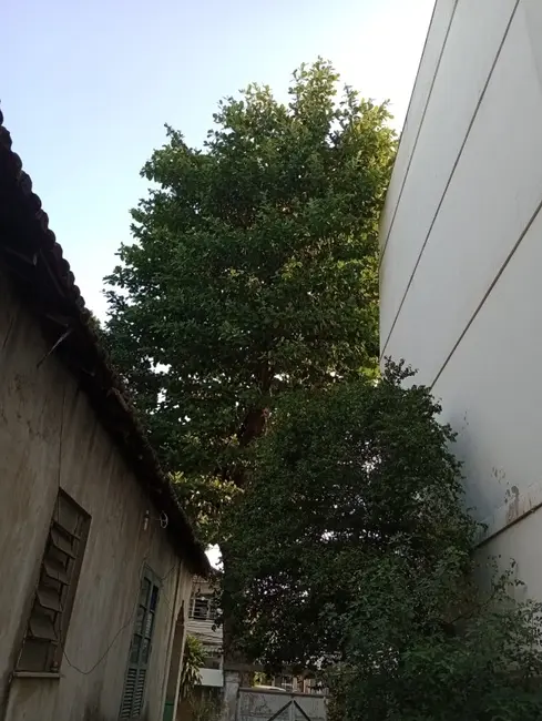 Foto 9 de Casa com 3 quartos à venda, 96m2 em Tauá, Rio De Janeiro - RJ