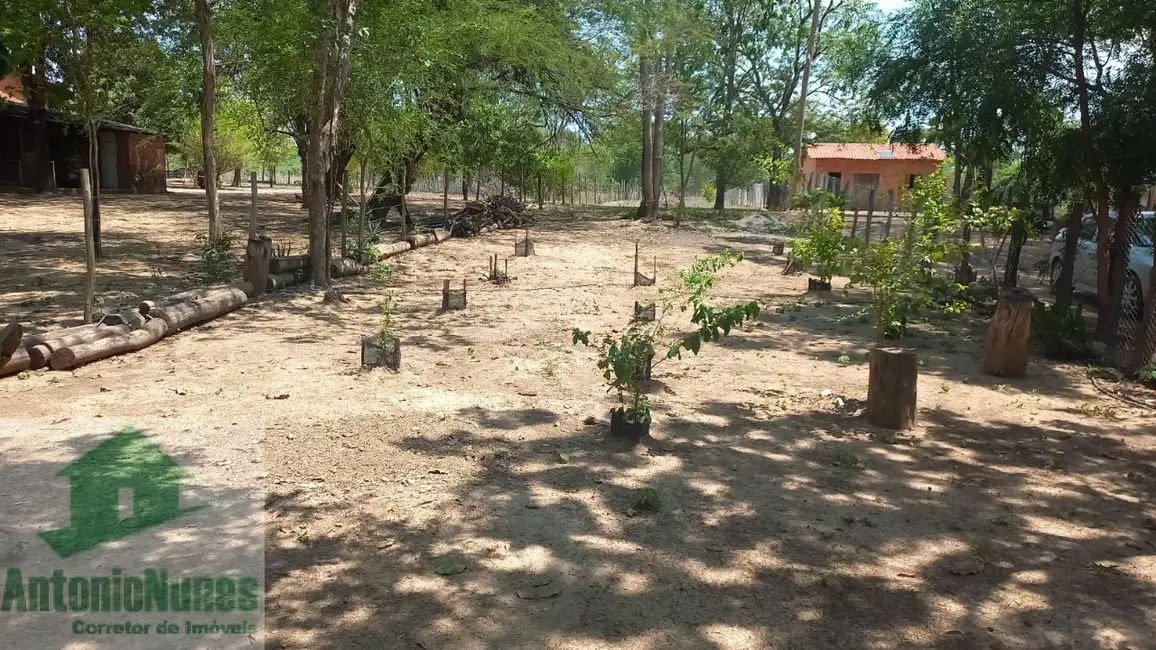 Chácara à venda em Barreiras - BA - imagem 16 Foto 16 de Chácara à venda em Barreiras - BA
