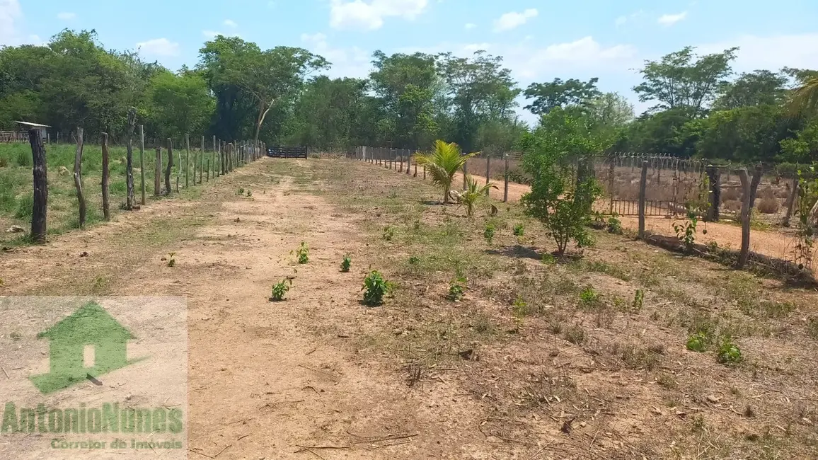 Chácara à venda em Barreiras - BA - imagem 17 Foto 17 de Chácara à venda em Barreiras - BA