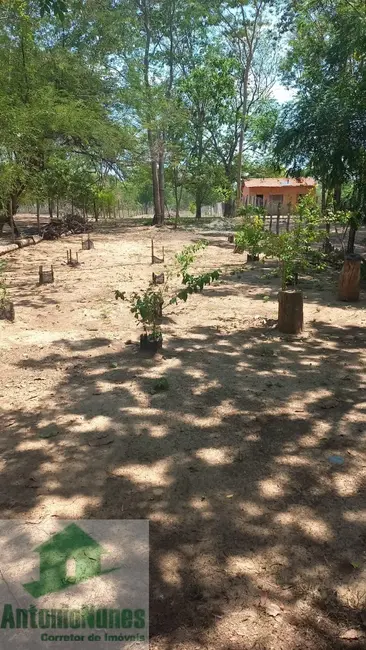Chácara à venda em Barreiras - BA - imagem 15 Foto 15 de Chácara à venda em Barreiras - BA