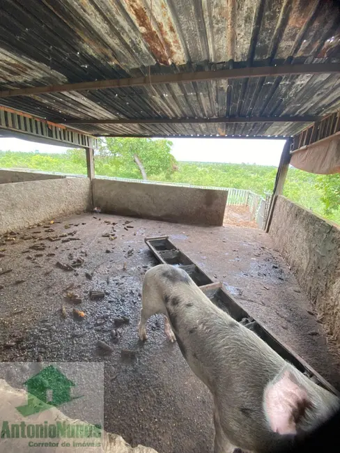 Foto 5 de Sítio / Rancho à venda em Sao Desiderio - BA