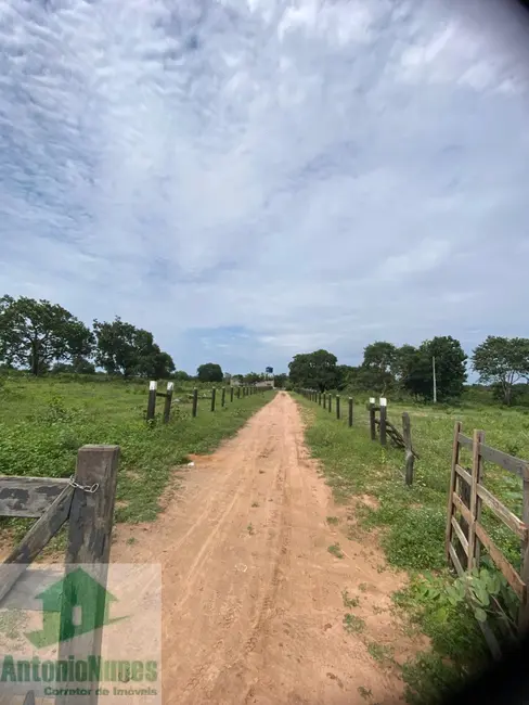 Foto 3 de Sítio / Rancho à venda em Sao Desiderio - BA