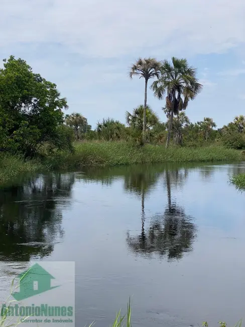 Foto 7 de Sítio / Rancho à venda em Sao Desiderio - BA