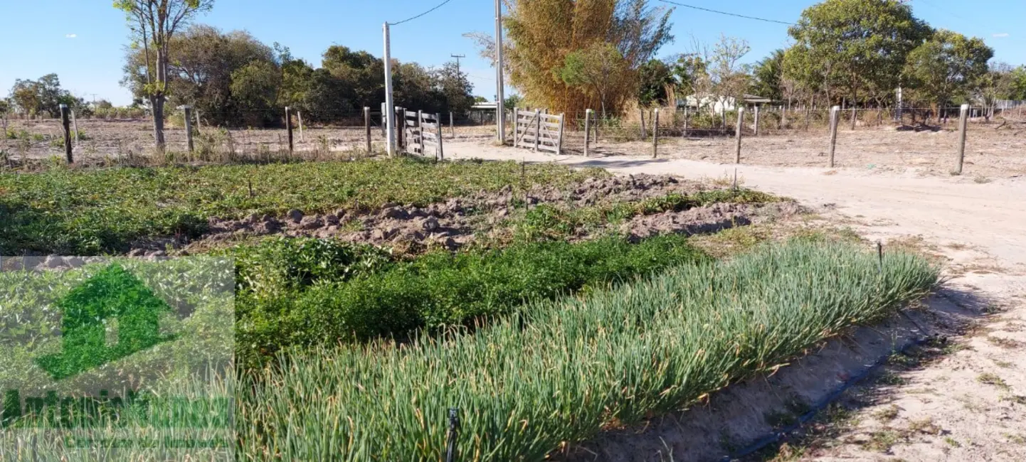 Foto 2 de Chácara à venda em Luis Eduardo Magalhaes - BA