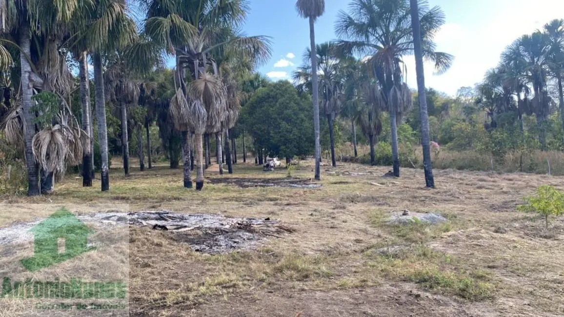 Chácara à venda em Barreiras - BA - imagem 5 Foto 5 de Chácara à venda em Barreiras - BA