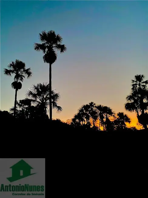 Chácara à venda em Barreiras - BA - imagem 6 Foto 6 de Chácara à venda em Barreiras - BA