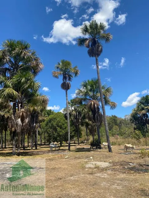 Chácara à venda em Barreiras - BA - imagem 4 Foto 4 de Chácara à venda em Barreiras - BA