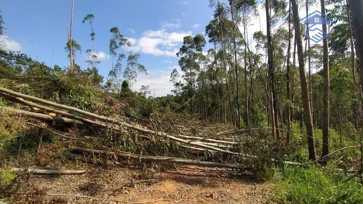 Sala Comercial à venda, 273000m2 em Ibiuna - SP - imagem 6 Foto 6 de Sala Comercial à venda, 273000m2 em Ibiuna - SP