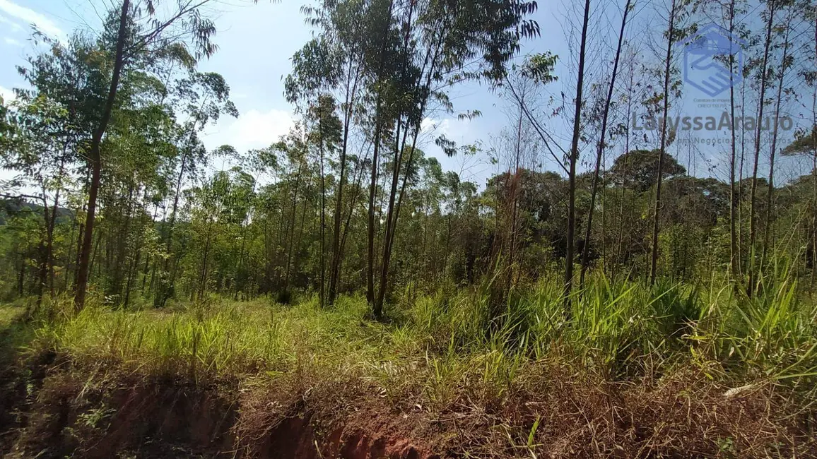 Sala Comercial à venda, 273000m2 em Ibiuna - SP - imagem 8 Foto 8 de Sala Comercial à venda, 273000m2 em Ibiuna - SP