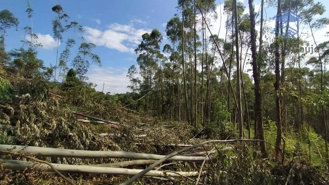 Sala Comercial à venda, 273000m2 em Ibiuna - SP - imagem 4 Foto 4 de Sala Comercial à venda, 273000m2 em Ibiuna - SP