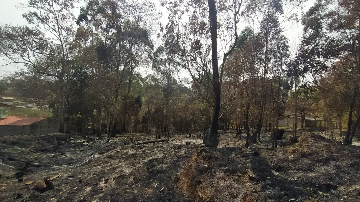 Foto 3 de Terreno / Lote à venda, 5808m2 em Cotia - SP