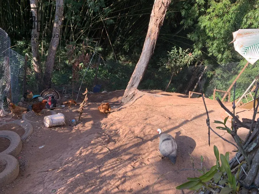 Foto 4 de Casa com 3 quartos à venda, 670m2 em Vila Jovina, Cotia - SP