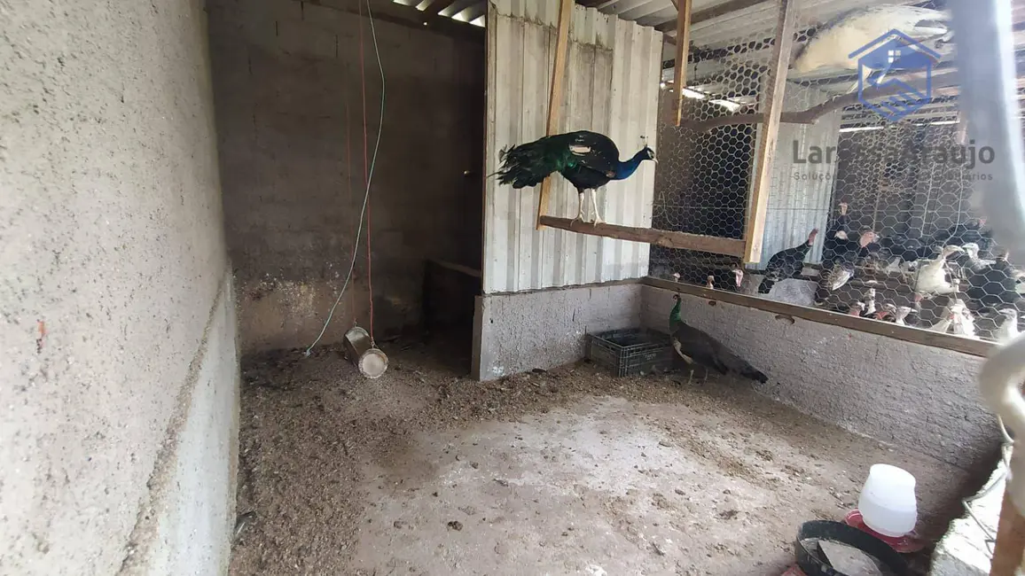 Foto 6 de Chácara com 2 quartos à venda, 12000m2 em Jardim São Luiz (Caucaia do Alto), Cotia - SP