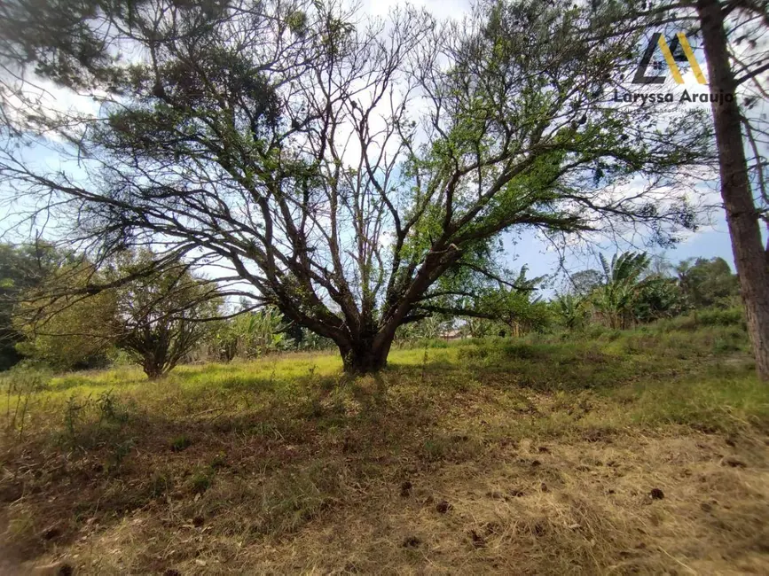 Foto 8 de Sítio / Rancho com 3 quartos à venda, 48000m2 em Santana, Cotia - SP