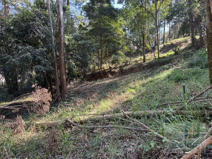 Terreno / Lote à venda, 5300m2 em Residencial Tamboré, Barueri - SP - imagem 3 Foto 3 de Terreno / Lote à venda, 5300m2 em Residencial Tamboré, Barueri - SP