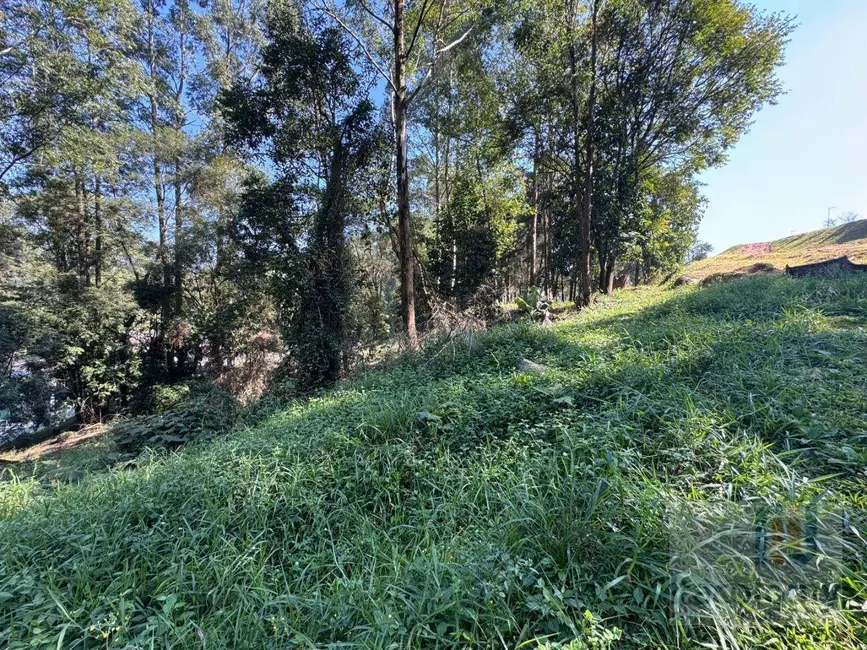 Terreno / Lote à venda, 5300m2 em Residencial Tamboré, Barueri - SP - imagem 4 Foto 4 de Terreno / Lote à venda, 5300m2 em Residencial Tamboré, Barueri - SP