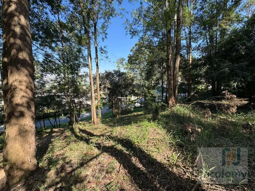 Terreno / Lote à venda, 5300m2 em Residencial Tamboré, Barueri - SP - imagem 7 Foto 7 de Terreno / Lote à venda, 5300m2 em Residencial Tamboré, Barueri - SP