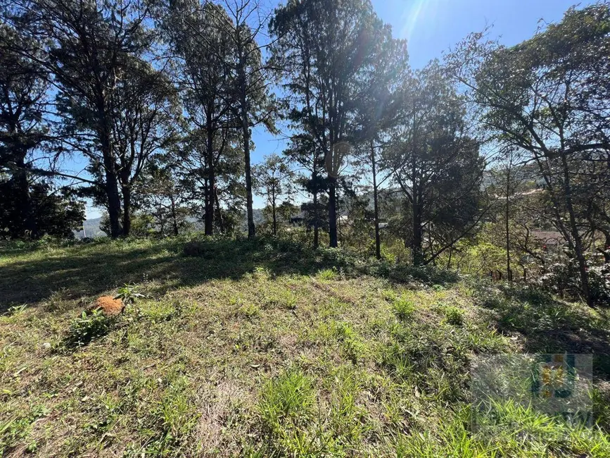 Foto 5 de Terreno / Lote à venda, 2712m2 em Vila Velha, Santana De Parnaiba - SP