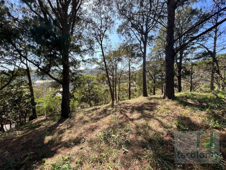 Foto 3 de Terreno / Lote à venda, 2712m2 em Vila Velha, Santana De Parnaiba - SP