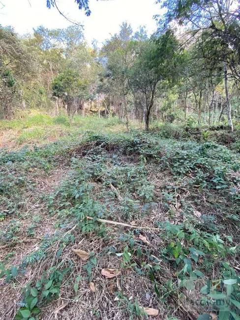 Foto 4 de Terreno / Lote à venda, 2767m2 em Vila Velha, Santana De Parnaiba - SP