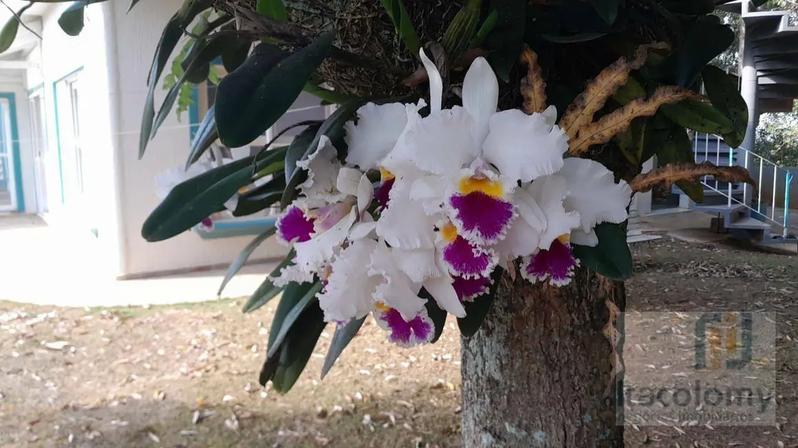 Foto 5 de Casa de Condomínio com 3 quartos à venda, 1725m2 em Residencial Tamboré, Barueri - SP