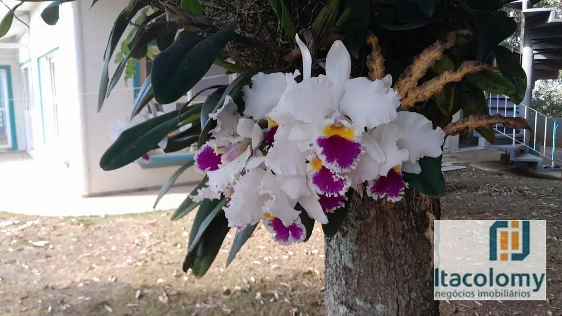 Foto 5 de Casa de Condomínio com 3 quartos à venda, 1725m2 em Residencial Tamboré, Barueri - SP