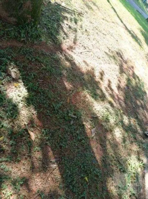Terreno / Lote à venda, 2171m2 em Residencial Tamboré, Barueri - SP - imagem 7 Foto 7 de Terreno / Lote à venda, 2171m2 em Residencial Tamboré, Barueri - SP