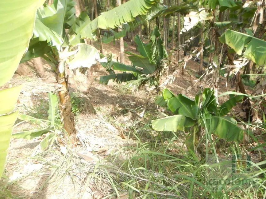 Foto 5 de Terreno / Lote à venda, 1671m2 em Residencial Tamboré, Barueri - SP