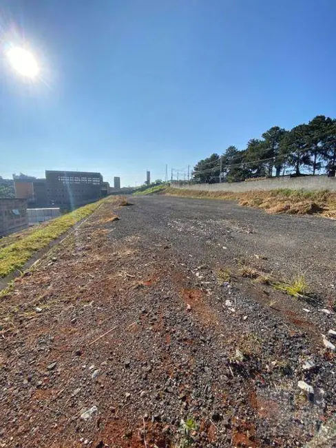 Foto 5 de Terreno / Lote para alugar, 5700m2 em Jardim Mutinga, Barueri - SP