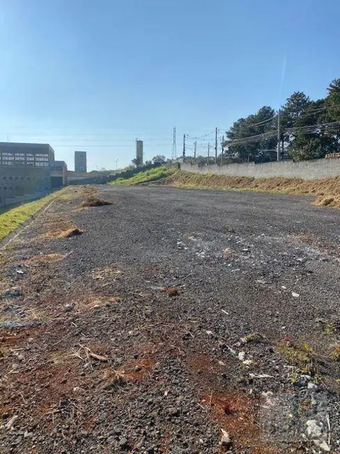 Foto 4 de Terreno / Lote para alugar, 5700m2 em Jardim Mutinga, Barueri - SP