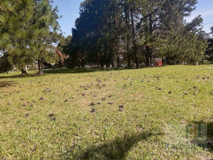 Foto 5 de Terreno / Lote à venda e para alugar, 1746m2 em Tamboré, Barueri - SP