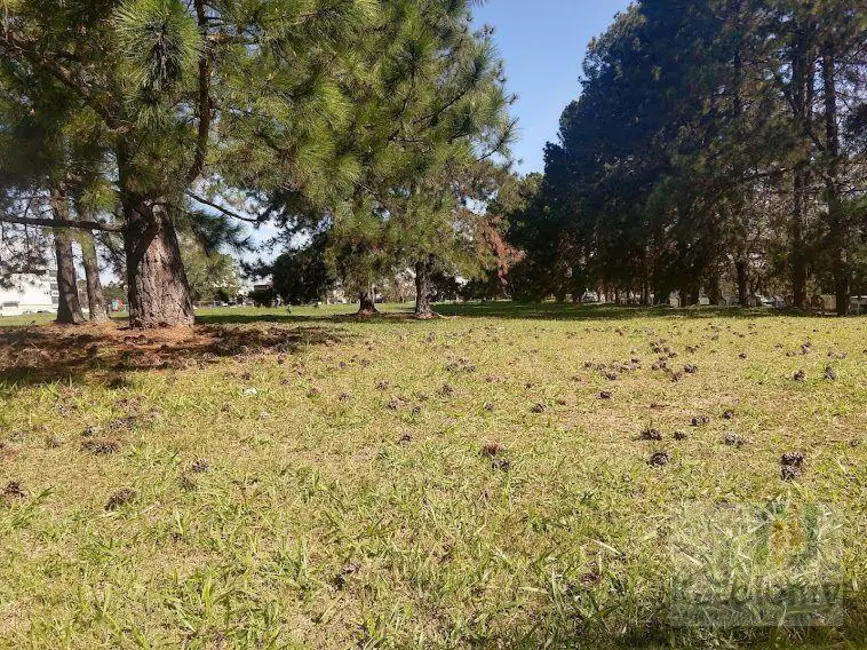 Foto 4 de Terreno / Lote à venda e para alugar, 1746m2 em Tamboré, Barueri - SP