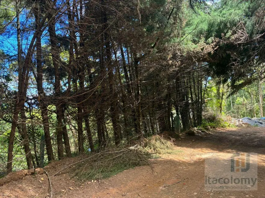 Foto 7 de Terreno / Lote à venda, 1195m2 em Camanducaia - MG