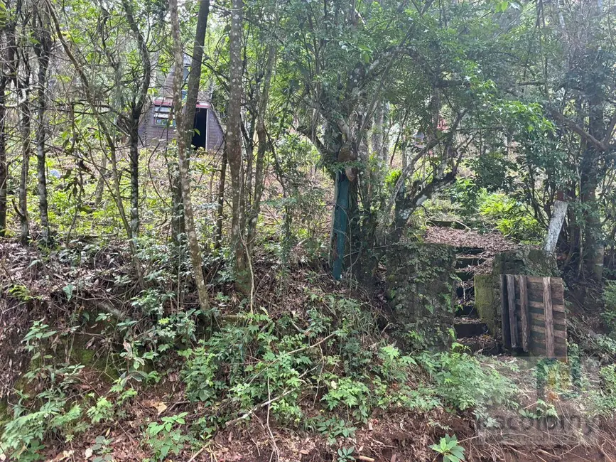 Foto 3 de Terreno / Lote à venda, 1046m2 em Camanducaia - MG