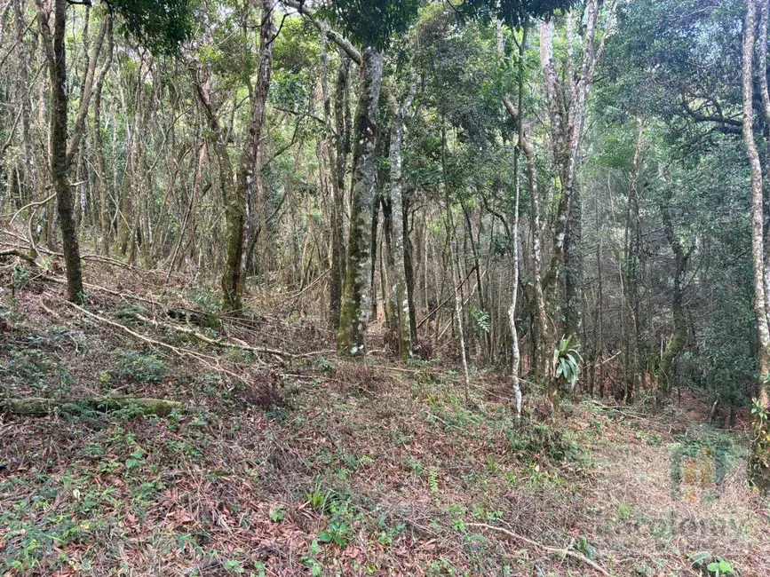 Foto 7 de Terreno / Lote à venda, 1046m2 em Camanducaia - MG