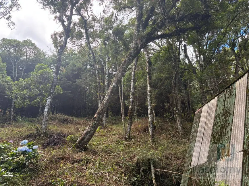 Foto 5 de Terreno / Lote à venda, 1046m2 em Camanducaia - MG