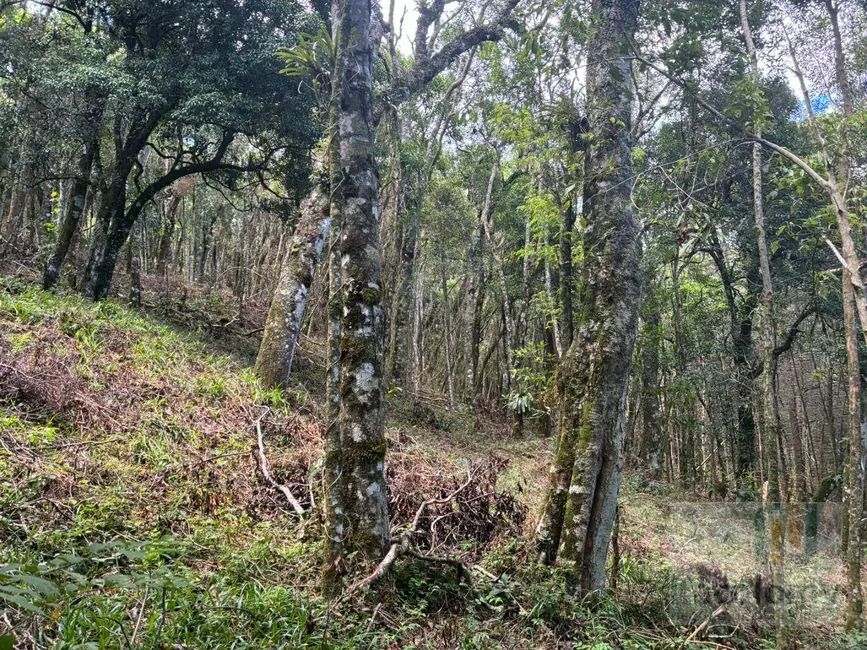 Foto 4 de Terreno / Lote à venda, 1046m2 em Camanducaia - MG