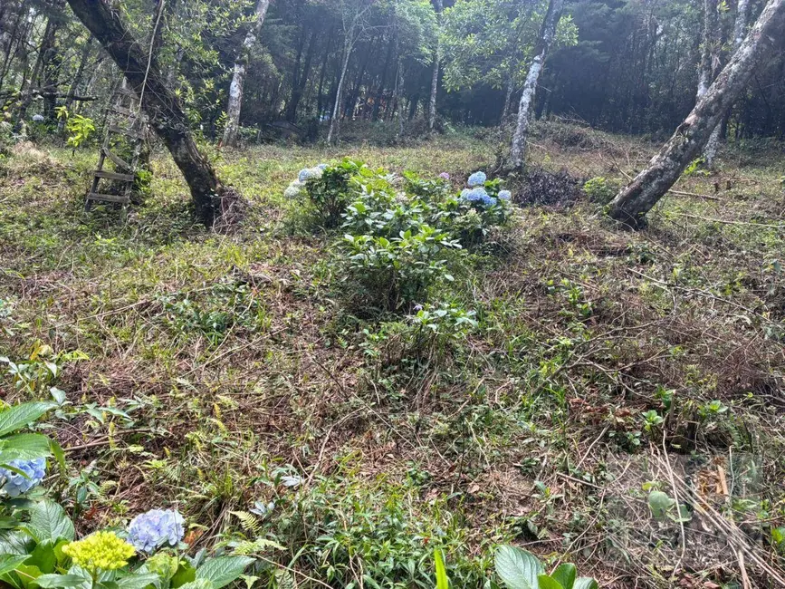 Foto 8 de Terreno / Lote à venda, 1046m2 em Camanducaia - MG