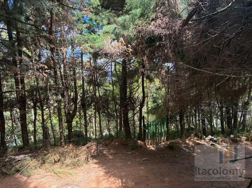 Foto 4 de Terreno / Lote à venda, 2241m2 em Camanducaia - MG