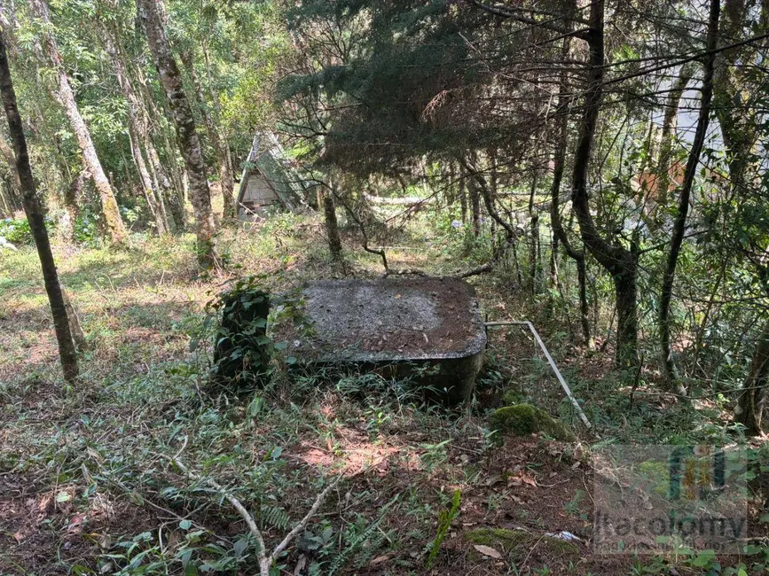 Foto 7 de Terreno / Lote à venda, 2241m2 em Camanducaia - MG