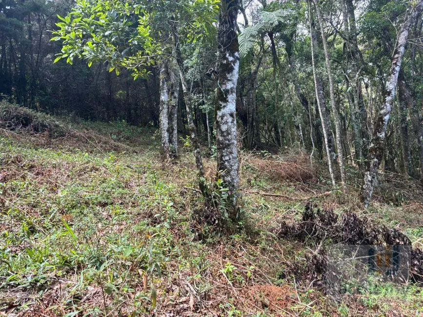 Foto 8 de Terreno / Lote à venda, 2241m2 em Camanducaia - MG