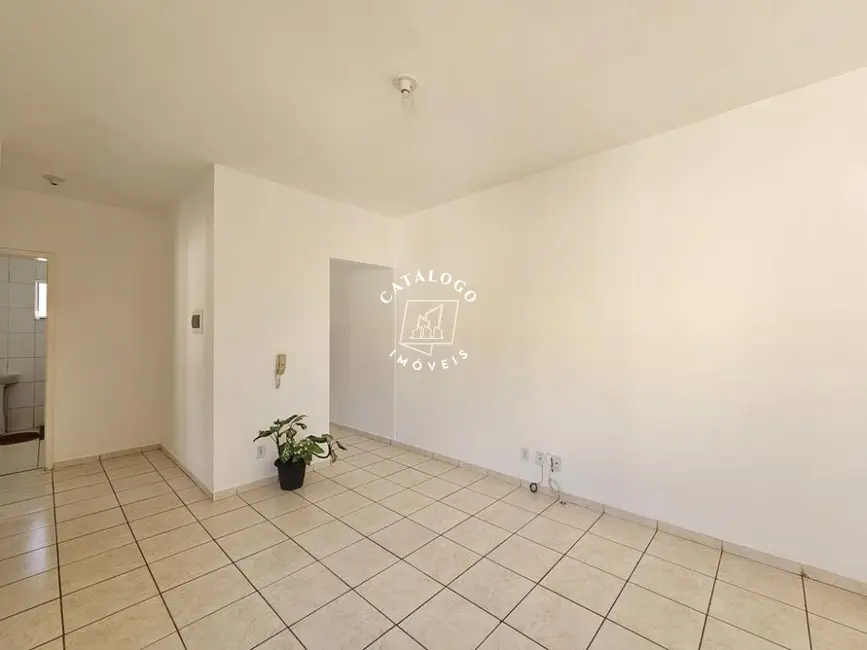 Foto 2 de Apartamento com 2 quartos para alugar, 49m2 em Quintino Facci II, Ribeirao Preto - SP