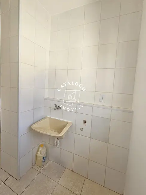 Foto 5 de Apartamento com 2 quartos para alugar, 49m2 em Quintino Facci II, Ribeirao Preto - SP