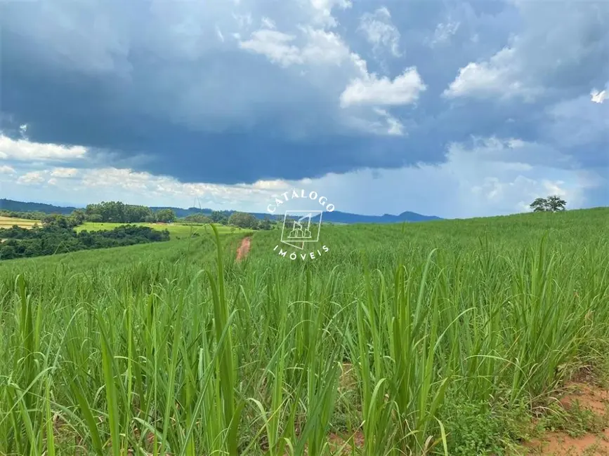 Foto 3 de Fazenda / Haras à venda, 15m2 em Centro, Cassia Dos Coqueiros - SP