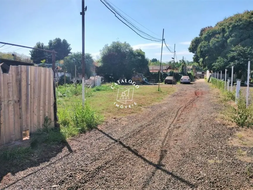 Foto 3 de Terreno / Lote à venda, 705m2 em Geraldo Correia de Carvalho, Ribeirao Preto - SP