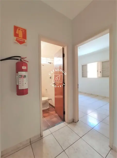 Sala Comercial com 3 quartos à venda, 211m2 em Vila Seixas, Ribeirao Preto - SP - imagem 6 Foto 6 de Sala Comercial com 3 quartos à venda, 211m2 em Vila Seixas, Ribeirao Preto - SP