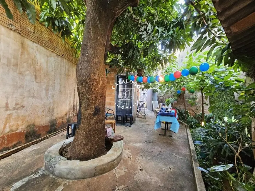 Casa com 2 quartos à venda, 343m2 em Jardim Marchesi, Ribeirao Preto - SP - imagem 4 Foto 4 de Casa com 2 quartos à venda, 343m2 em Jardim Marchesi, Ribeirao Preto - SP