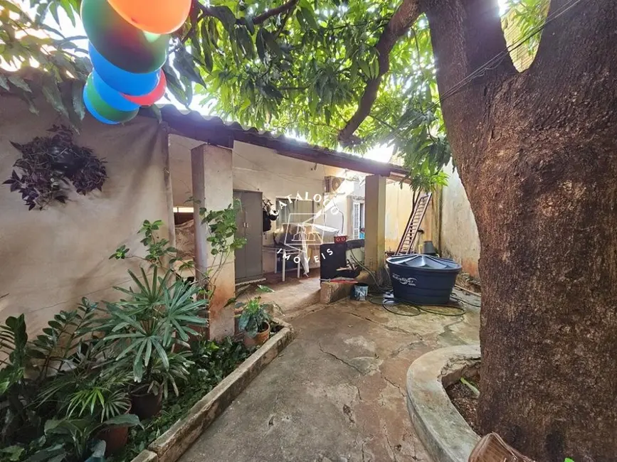 Casa com 2 quartos à venda, 343m2 em Jardim Marchesi, Ribeirao Preto - SP - imagem 6 Foto 6 de Casa com 2 quartos à venda, 343m2 em Jardim Marchesi, Ribeirao Preto - SP