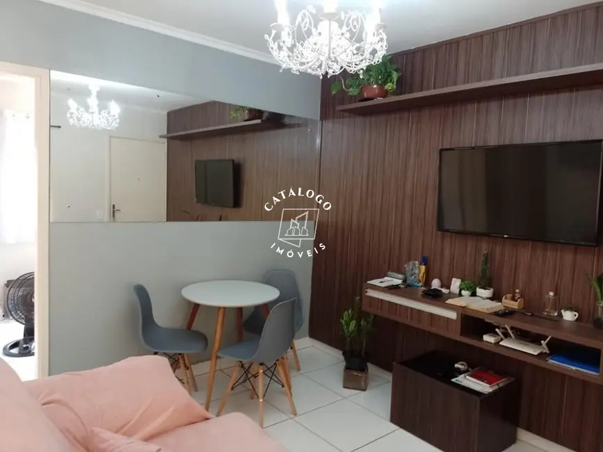 Apartamento com 2 quartos à venda, 43m2 em Jardim Zara, Ribeirao Preto - SP - imagem 2 Foto 2 de Apartamento com 2 quartos à venda, 43m2 em Jardim Zara, Ribeirao Preto - SP