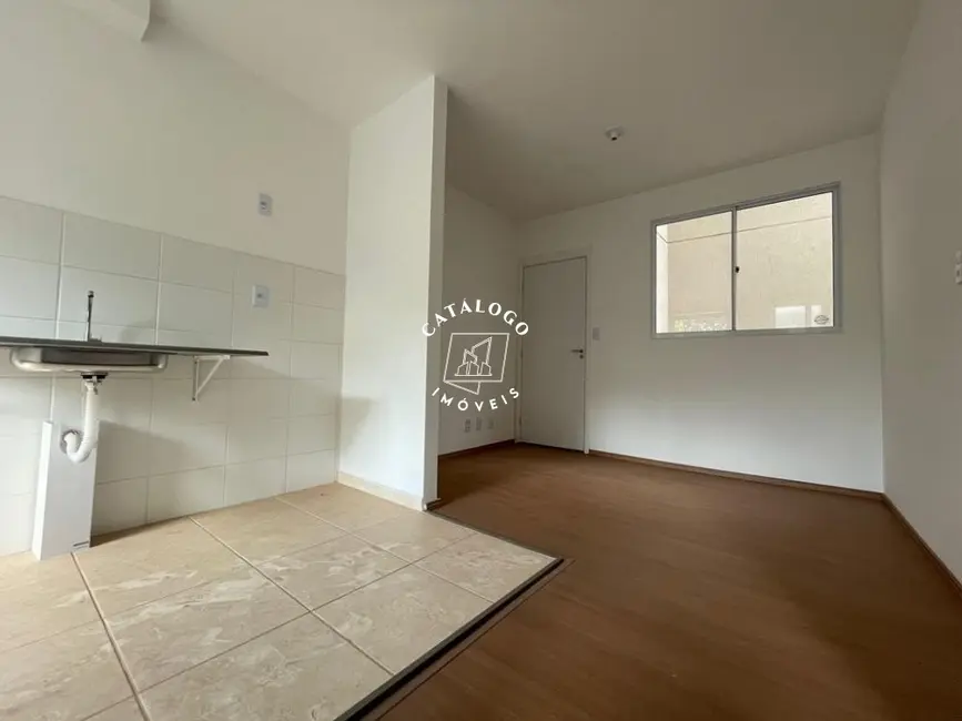 Foto 4 de Apartamento com 2 quartos à venda, 40m2 em Jardim Cybelli, Ribeirao Preto - SP